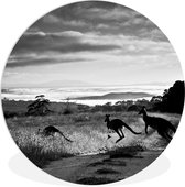 WallCircle - Wandcirkel ⌀ 60 - Australië - Kangoeroe - Zwart - Wit - Ronde schilderijen woonkamer - Wandbord rond - Muurdecoratie cirkel - Kamer decoratie binnen - Wanddecoratie muurcirkel - Woonaccessoires