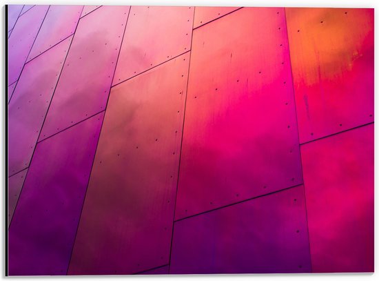 Dibond - Roze en Paarskleurige Rechthoeken - 40x30 cm Foto op Aluminium (Met Ophangsysteem)