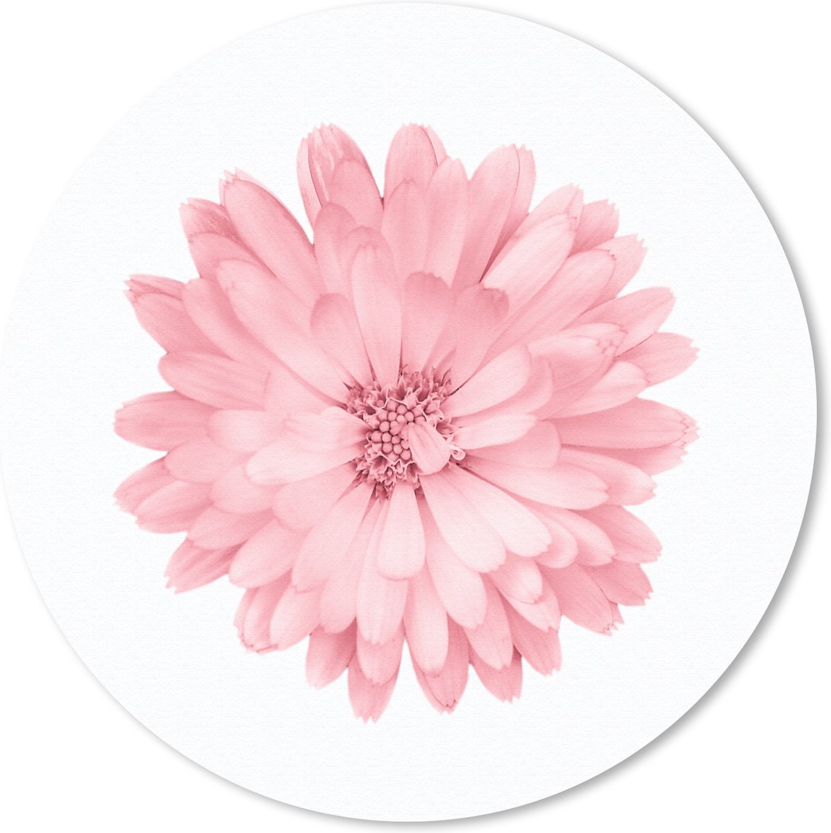 Muismat rond 40x40 cm - Mousepad Bloemen - Roze - Kamille - Ronde muismatten