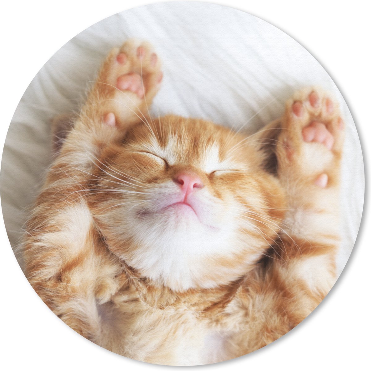 Muismat rond 30x30 cm - Mousepad Kat - Rood - Huisdieren - Kitten - Ronde muismatten