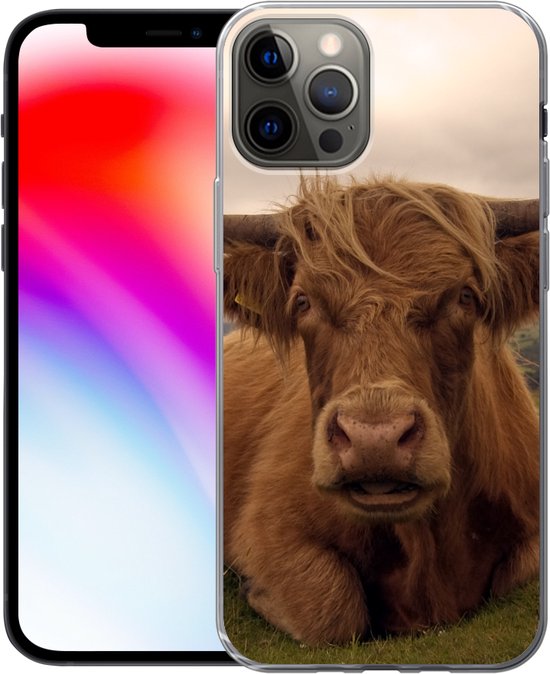 Coque iPhone 13 Pro - Highlander écossais - Animaux - Berg - Siliconen