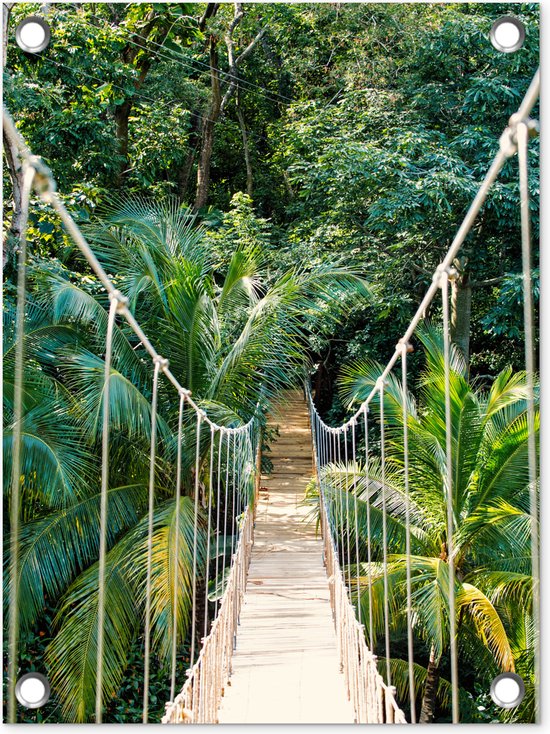 Décoration de Jardin Jungle - Palmier - Pont - Nature - Plantes - 30x40 cm - Toile de jardin - Poster extérieur