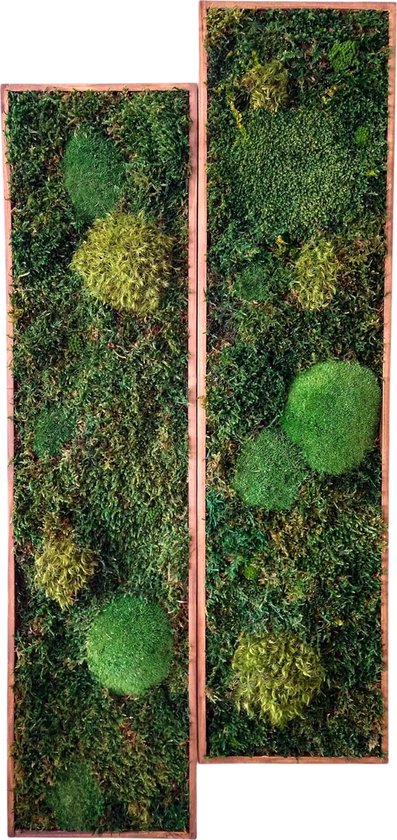 Moskabouter mosschilderij met meerdere mossoorten - 80 x 20 cm - Onderhoudsvrij - Prijs per kader