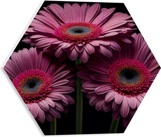 PVC Schuimplaat Hexagon - Drie Roze Gerbera Bloemen op een Rij tegen Zwarte Achtergrond - 40x34.8 cm Foto op Hexagon (Met Ophangsysteem)