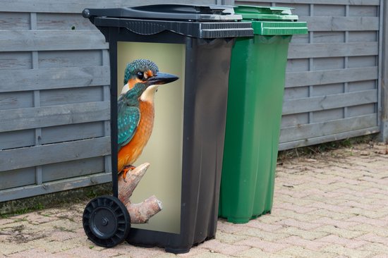 Sticker conteneur Vogel - Martin-pêcheur - Branche - 38x80 cm - Kliko sticker