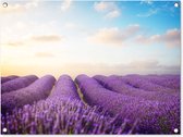 Tuinposter - Tuin - Lavendel - Lucht - Wolken - 80x60 cm - Tuinschilderij - Muurdecoratie - Wanddecoratie - Tuindoek - Buitenposter