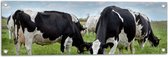 Tuinposter – Kudde Koeien met Zwarte en Witte Vlekken - 90x30 cm Foto op Tuinposter (wanddecoratie voor buiten en binnen)