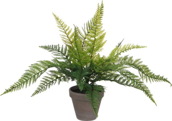 Varen kunstplant/kamerplant groen H40 cm x D36 cm - Kunstplanten/nepplanten