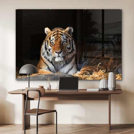 MuchoWow® Peinture sur verre 180x120 cm - Peinture sur verre acrylique - Tigre - Paille - Ombre - Photo sur verre - Peintures