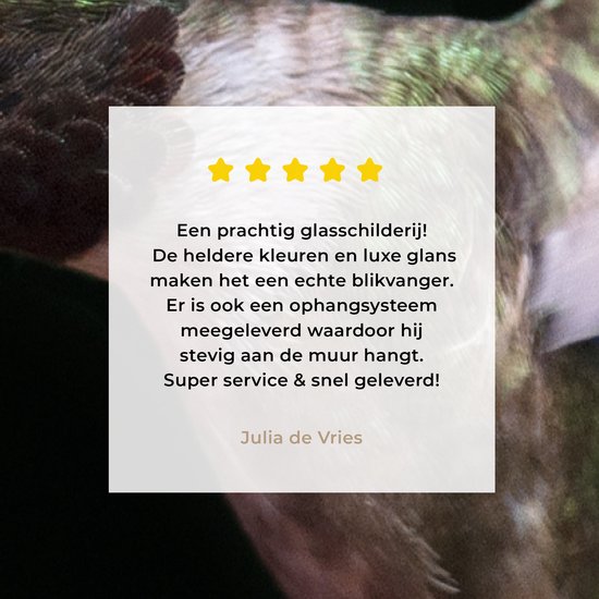 MuchoWow® Peinture sur verre 60x120 cm - Peinture sur verre acrylique - Colibri - Vogel - Ressorts - Photo sur verre - Peintures