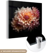 MuchoWow® Peinture sur verre - Dahlia - Fleurs - Rose - Zwart - Botanique - 90x90 cm - Peintures sur verre acrylique - Photo sur Glas