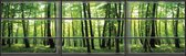 Fotobehang Vlies Bos, Natuur | Groen | GROOT 624x219cm