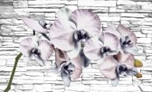 Fotobehang - Vlies Behang - Orchidee voor Sierstenen Muur - Bloemen - 368 x 254 cm