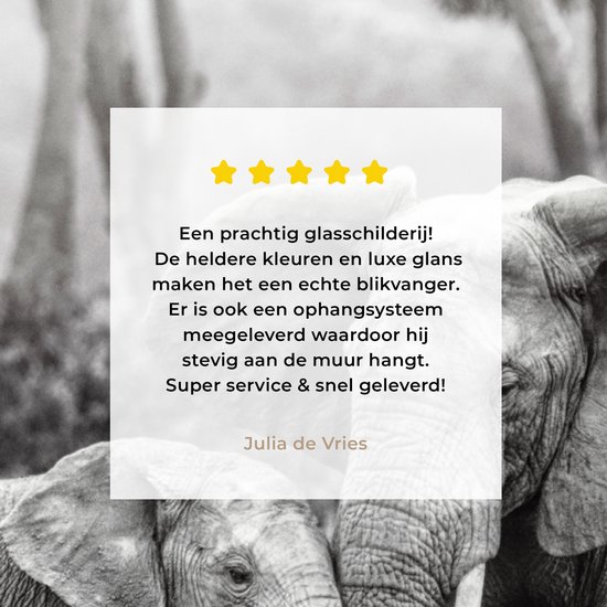 MuchoWow® Tableau en verre 30x40 cm - Peinture sur verre acrylique - Éléphant - Animaux - Nature - Noir et blanc - Photo sur verre - Tableaux