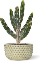 Tetragonus kunst Cactus 35cm - groen