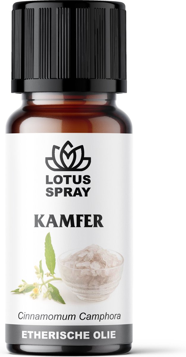 Goedkoopste Kamfer - Etherische olie [10ml]
