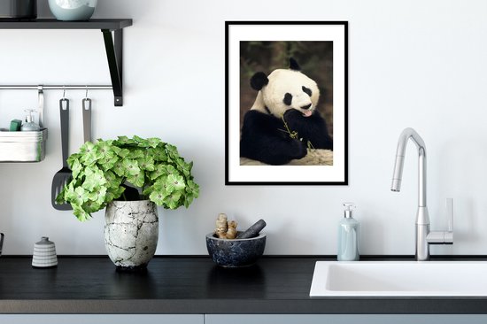 Manger panda 30x40 cm - petit