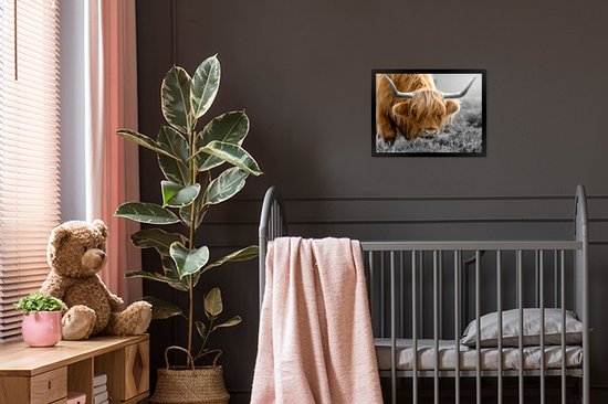 Cadre photo avec affiche - Couleur - Zwart - Wit - Scottish Highlander - 40x30 cm - Cadre pour affiche