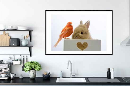 Photo encadrée - Bébé lapin avec un cadre photo oiseau rouge noir avec passe-partout blanc 80x120 120x80 cm - Affiche encadrée (Décoration murale salon / chambre)