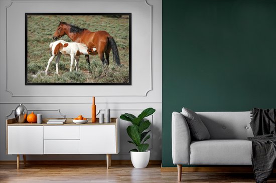 Cheval qui s'occupe de son poulain cadre photo noir sans passe partout