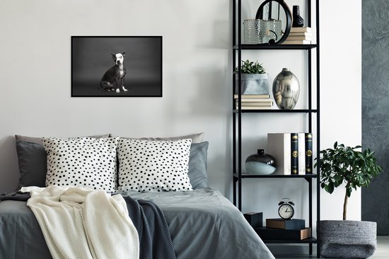 Photo dans le cadre - chien de couleur Zwart sur noir cadre photo fond noir sans monture 60x40 cm - affiche dans le cadre Décoration murale salon / chambre à coucher)