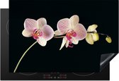 KitchenYeah inductie beschermer 78x52 cm - Bloemen orchidee - Kookplaataccessoires roze - Afdekplaat voor kookplaat - Anti slip mat - Keuken decoratie inductieplaat - Inductiebeschermer accessoires - Inductiemat - Beschermmat voor fornuis
