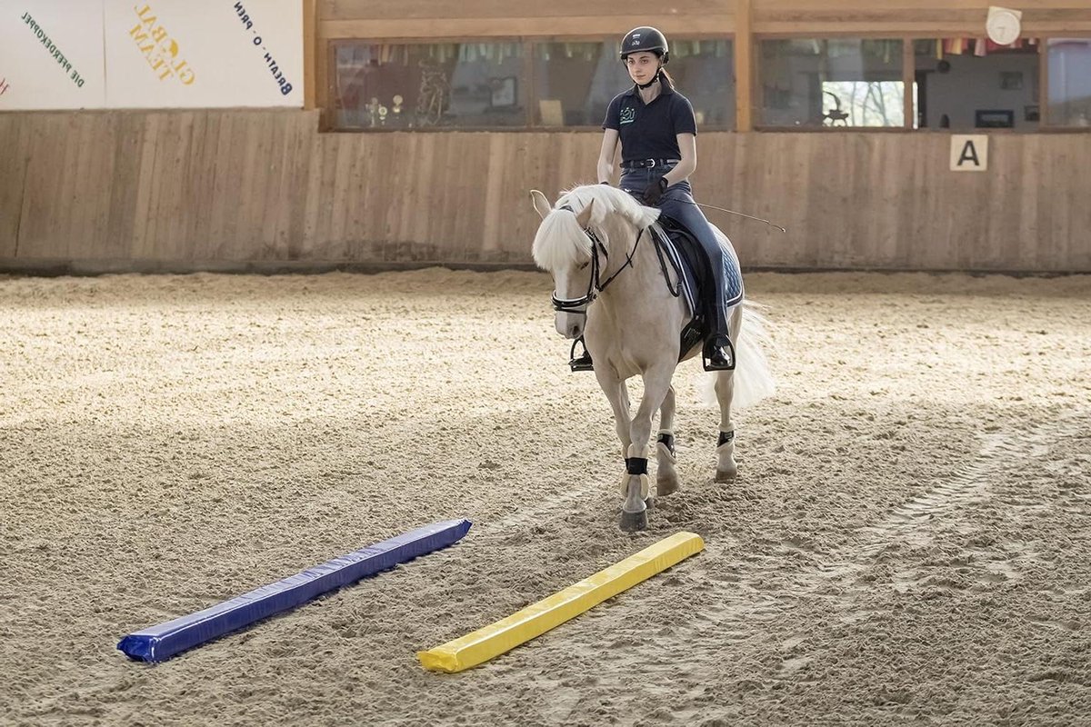 Vloerwerkstang - Werkstang Paard - Grondwerk Paarden - Niet Rolbaar Vierkant - 3 meter - Blauw