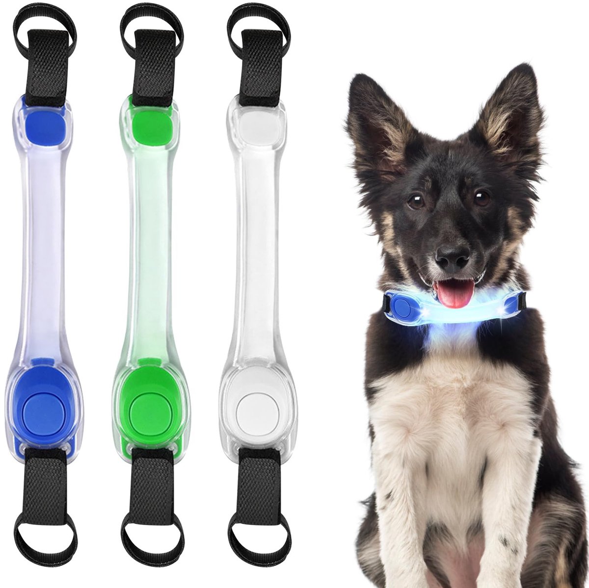 Dailygoods - Lichtgevende Hondenhalsband met 3 Verlichtingsmodi voor Veiligheid