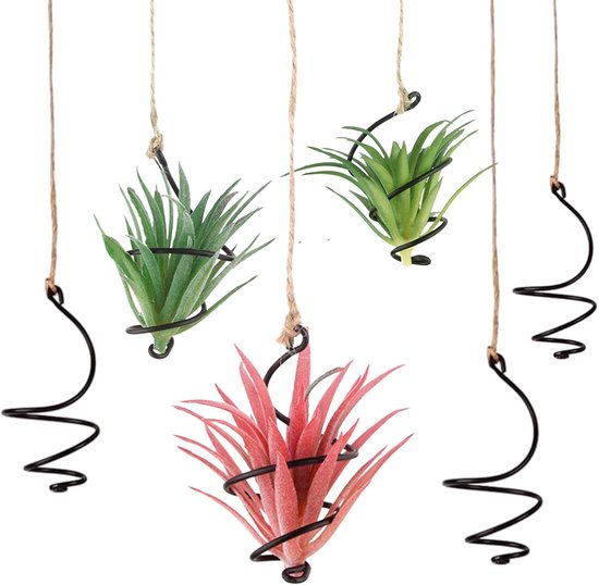 Hangende Plantenstandaard - Hangende Luchtplantenhouder - Tillandsia Houder met Jutetouwen - Aarde-vrije Plantenstandaard - Voor Vetplanten en Luchtplanten - 6 stuks