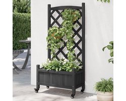 Plantenbak met Trellis - Bloembak met steun - Planten Verrijken - Met Verrijdbare Wielen
