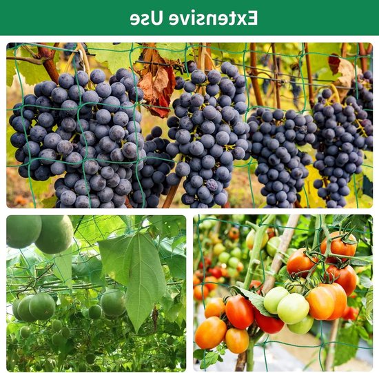 Klimnet voor Planten 1.80 x 1.80 m - Ondersteuning voor Klimplanten zoals Komkommers, Erwten en Tomaten - Groene Tuinnet met 10 cm Maaswijdte van Merkloos — afbeelding 4