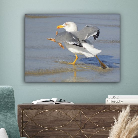 Une image d'un goéland argenté attrapant une étoile de mer Toile 80x60 cm - Tirage photo sur toile (Décoration murale salon / chambre)