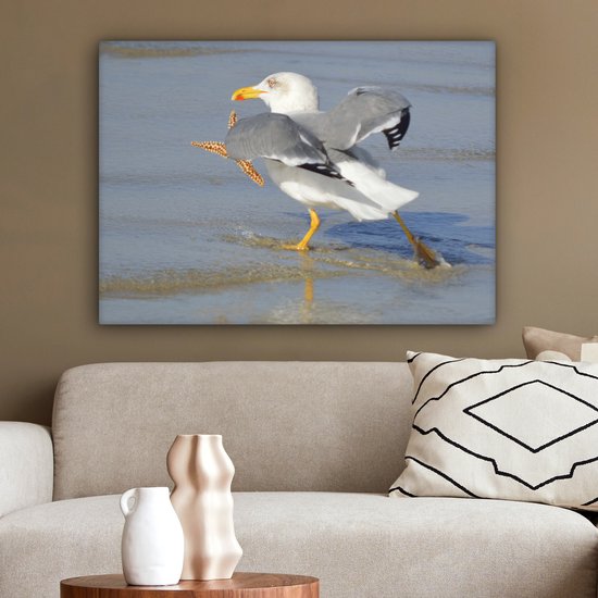 Une image d'un goéland argenté attrapant une étoile de mer Toile 80x60 cm - Tirage photo sur toile (Décoration murale salon / chambre)