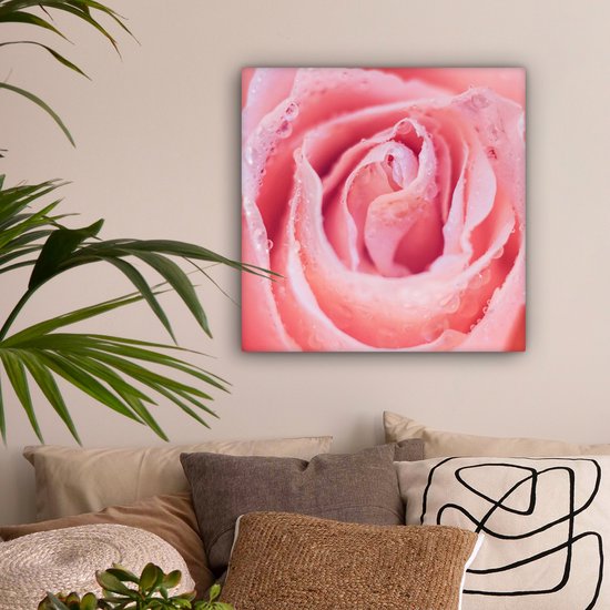 Tableau sur toile Rosée du matin sur les pétales de rose rose - 50x50 cm - Décoration murale Art