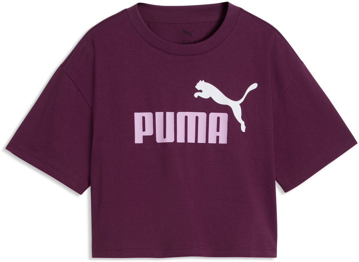 Fuchsia Glow
