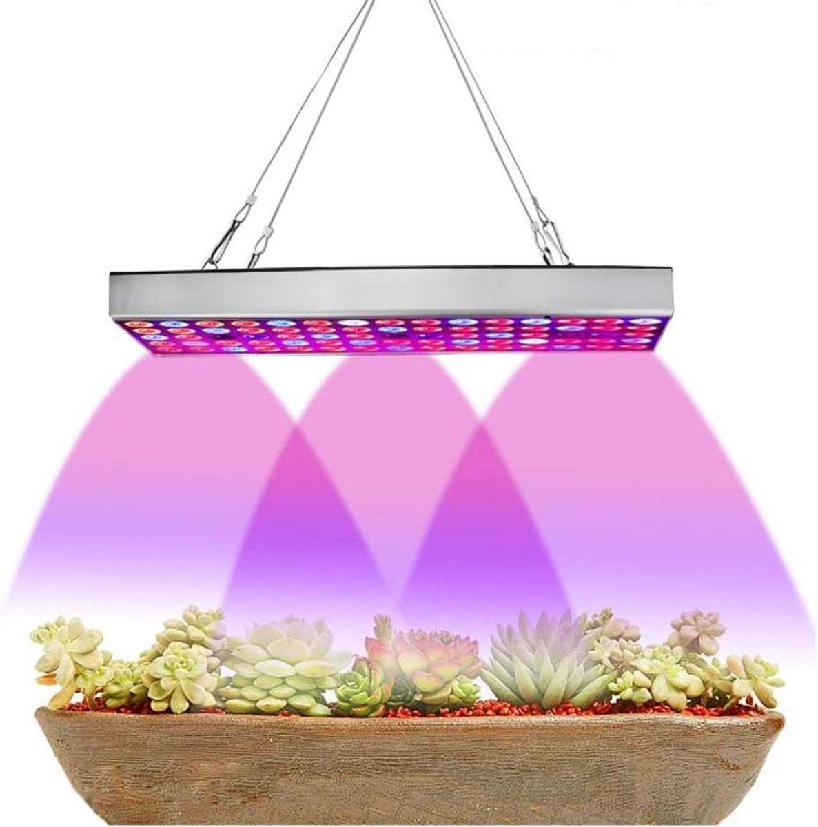 LED Kweeklamp - Plantenlamp Groeilamp - Planten Kweken - Volledig Spectrum - 31 cm - Niet gespecificeerd