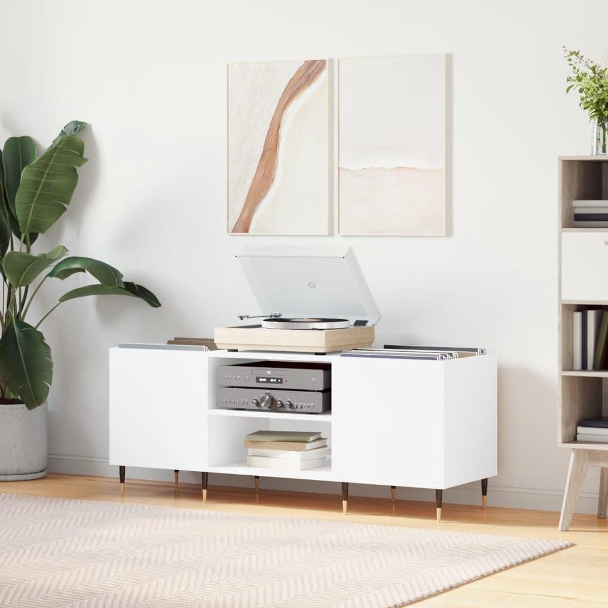 CD-kast - Plaatkast Staand Rek - Muziek Collectie Opbergen - Multiplex Met Glad Oppervlak