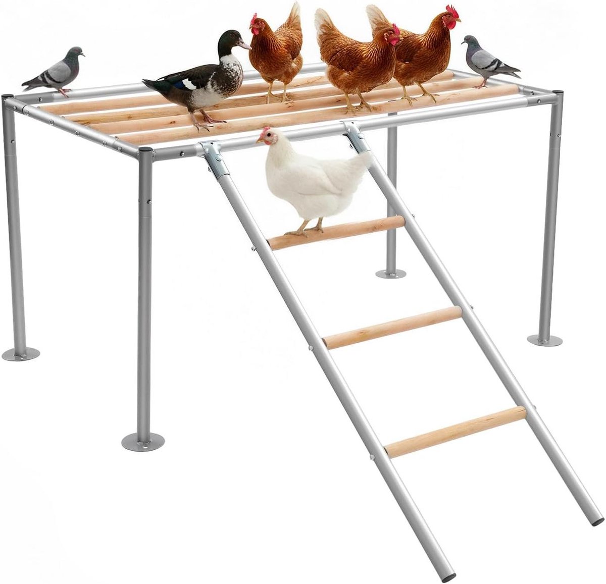 Kippenstang met Ladder - Kippen Platform - Gevogelte Verzorging - Roestbestendig Gegalvaniseerd Staal - 105 x 60 x 60 cm