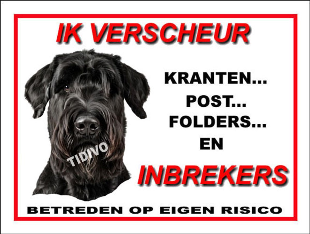 Riesenschnauzer 8