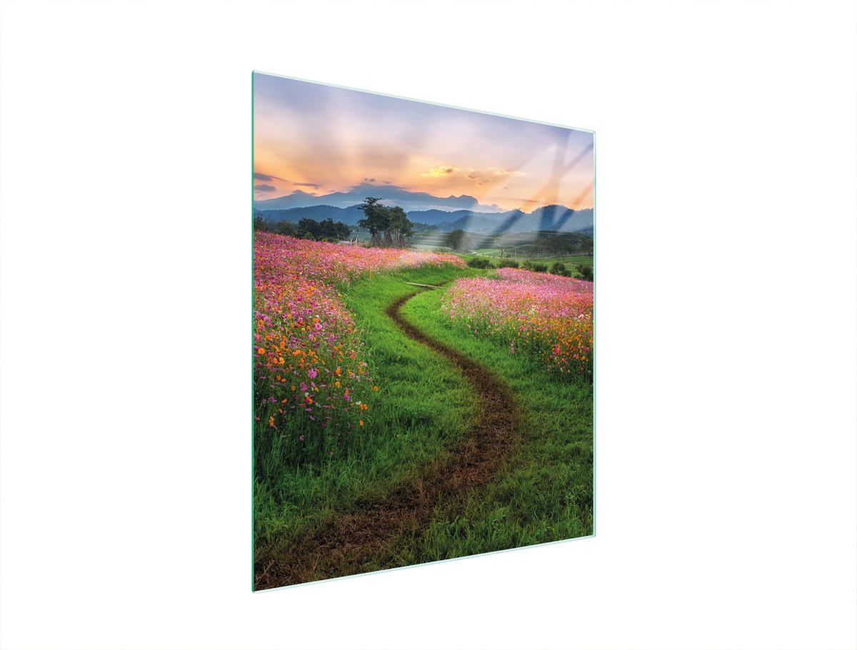 TMK ArtDeko - Snijplank Glas - 45x52 cm - Gemaakt van gehard glas - Veelzijdig gebruik