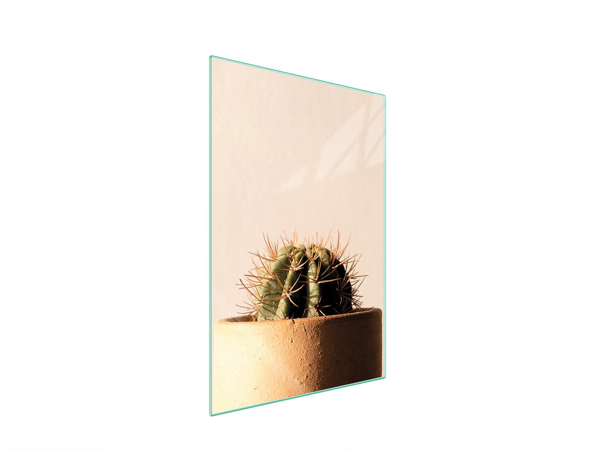 TMK ArtDeko Kaktus - Snijplank - 35x52 cm - Hartglas - Veelkleurig