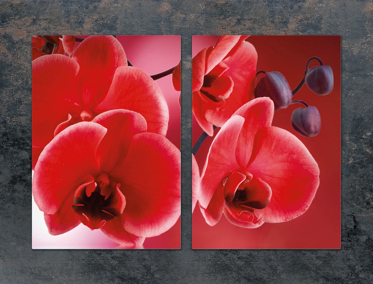 TMK ArtDeko Serie - Glazen Beschermplaat - 2x35x52 cm - Orchidea - Hittebestendig