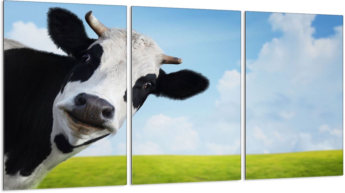 TMK ArtDeko - Serie Kookplaatbescherming - Glas - 3x30x52 cm - Snijplank