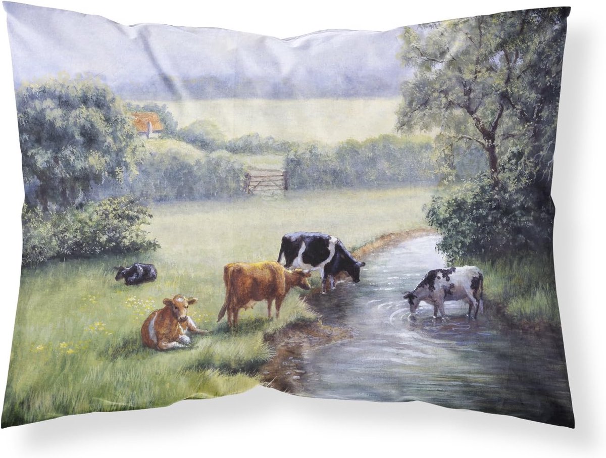 Kussenhoes - Kussensloop - Decoratie - Vochtafvoerend materiaal - 30x20.5 inch - Veelkleurig