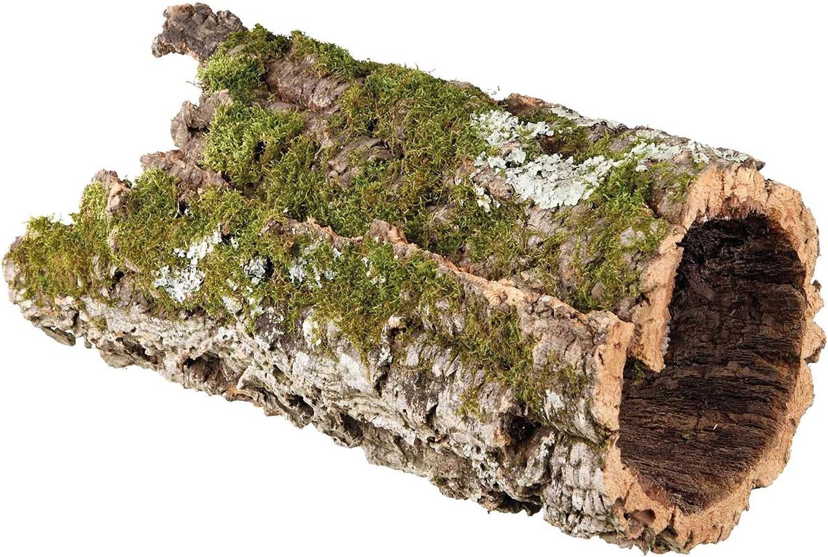 Kurk Tunnel - Reptiel Huis - Terrarium Inrichting - Natuurlijke Vorm - XL Formaat