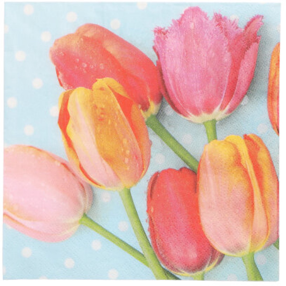 15x 20 Servetten 3-laags 1/4 vouw 33 cm x 33 cm Bella Tulipa