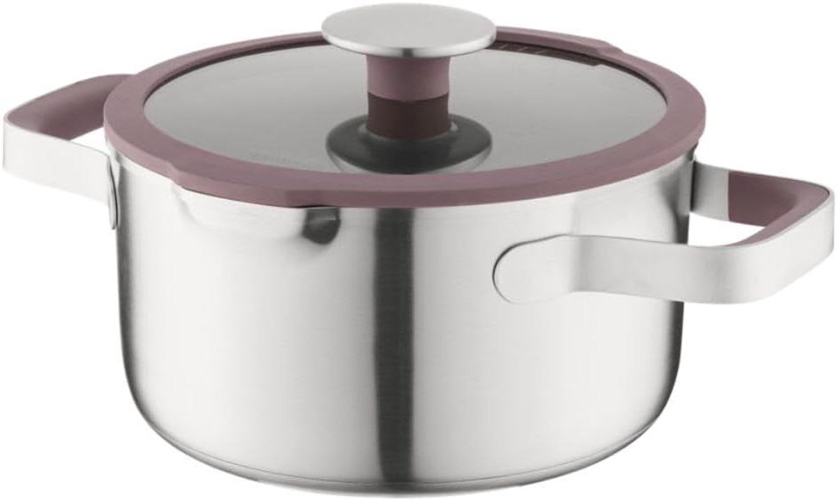 Kookpan - Kookpot Stoofpan - Dagelijkse Maaltijden - 3-laags Aluminium Kern - 20 cm - Aubergine
