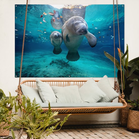 Décoration murale Lamantin antillais avec bébé - 180x120 cm - Poster jardin - Toile jardin - Poster extérieur