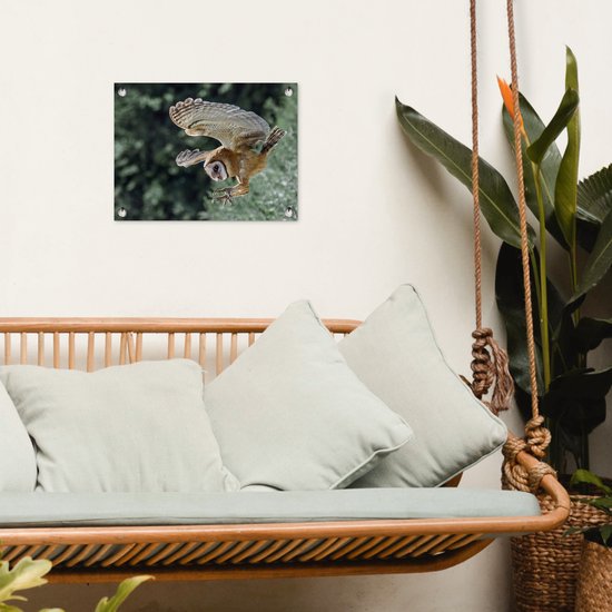 Hibou d'attaque 40x30 cm - petit