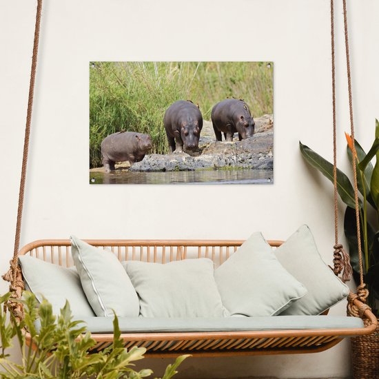 Posters de jardin extérieur Hippopotames - Water - Afrique du Sud - 90x60 cm - Toile jardin - Affiche extérieure